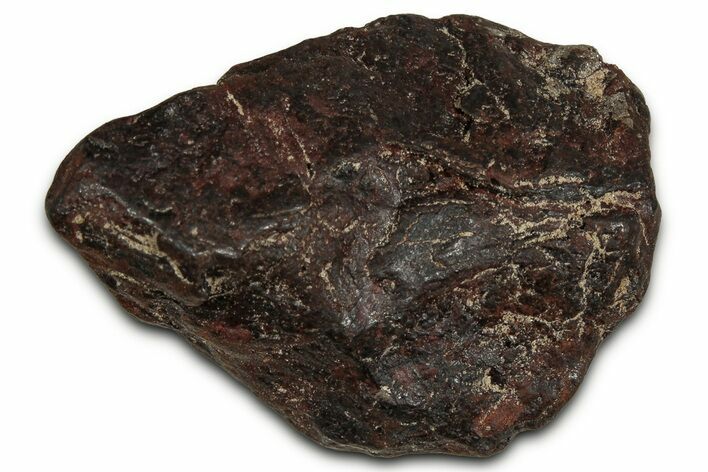 Canyon Diablo Iron Meteorite ( g) - Arizona #356029